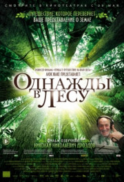 Постер Once in the Forest